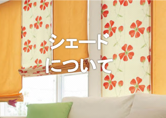 シェードについて