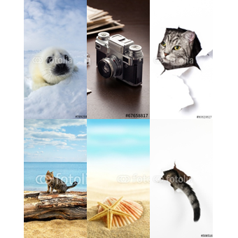 デジタルプリントクロス